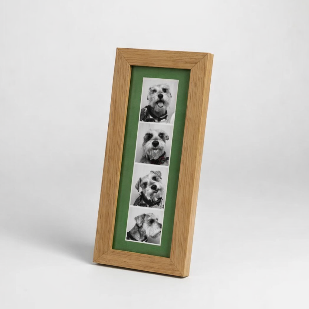 photo strip frame